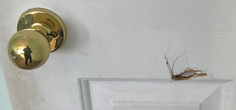 interior door hole repair Mira Monte